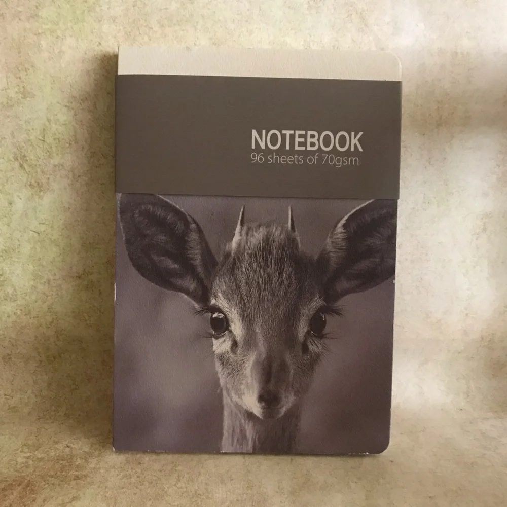 Cute Notebook Journal